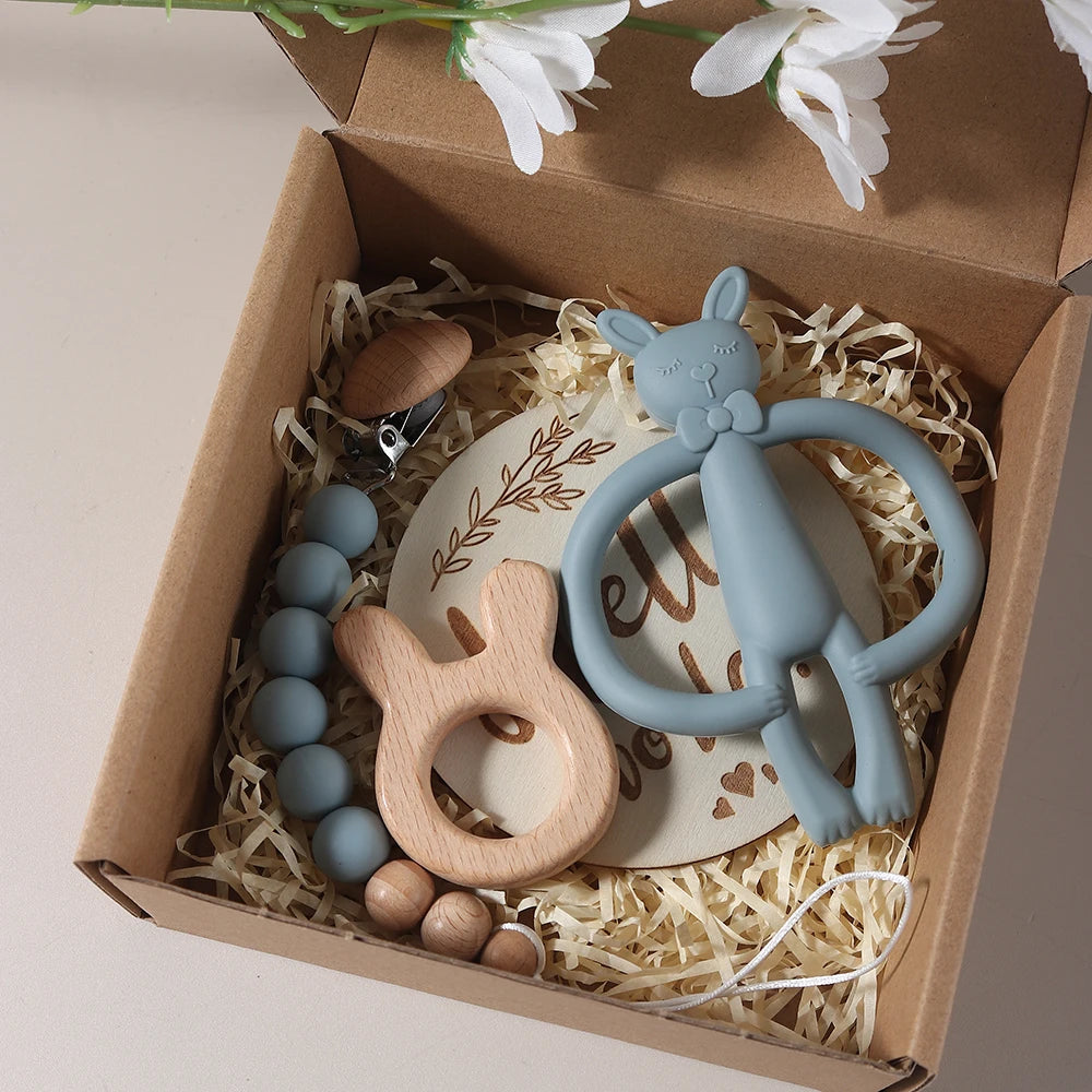 Silicone Bunny Teether & Dummy Clip Gift Set