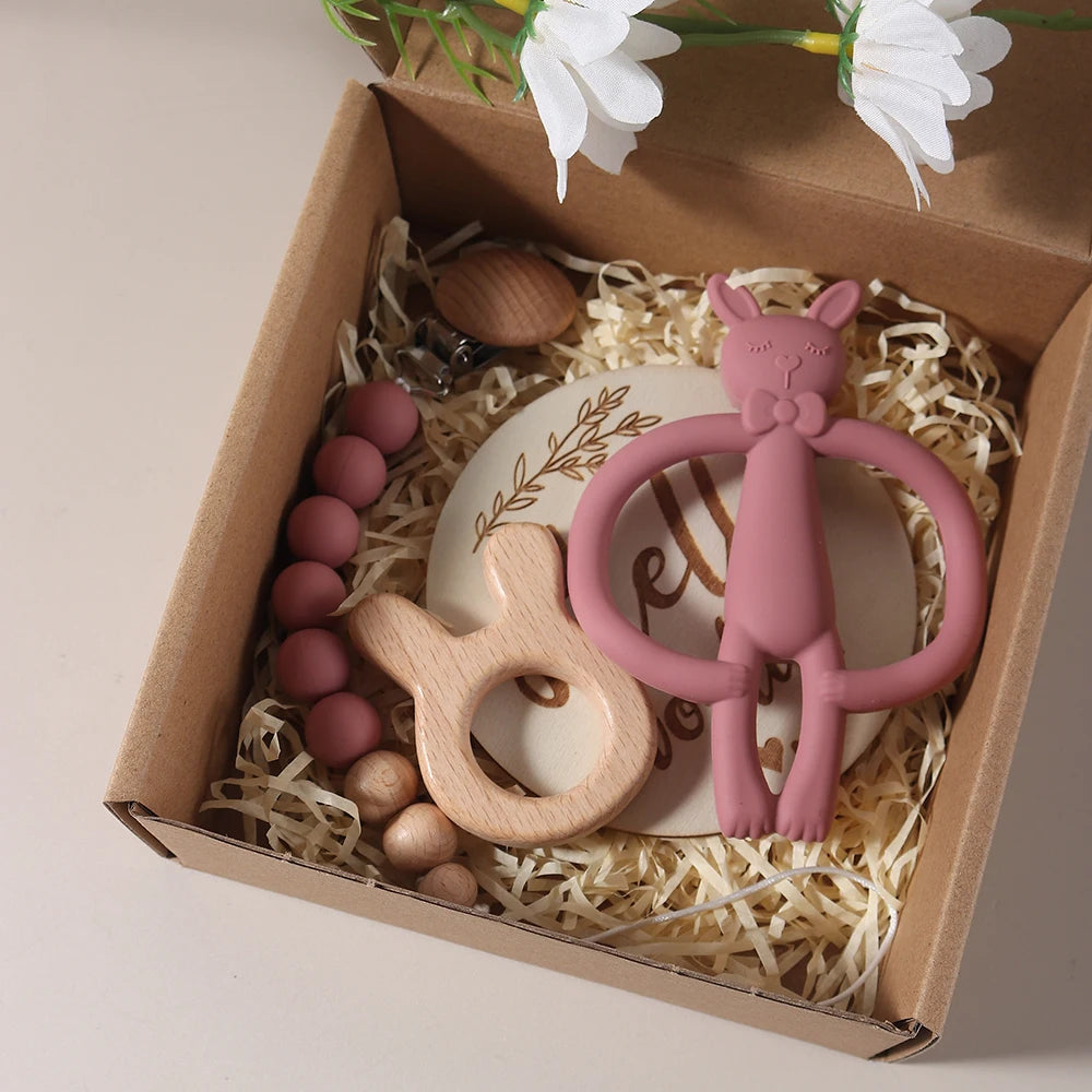 Silicone Bunny Teether & Dummy Clip Gift Set