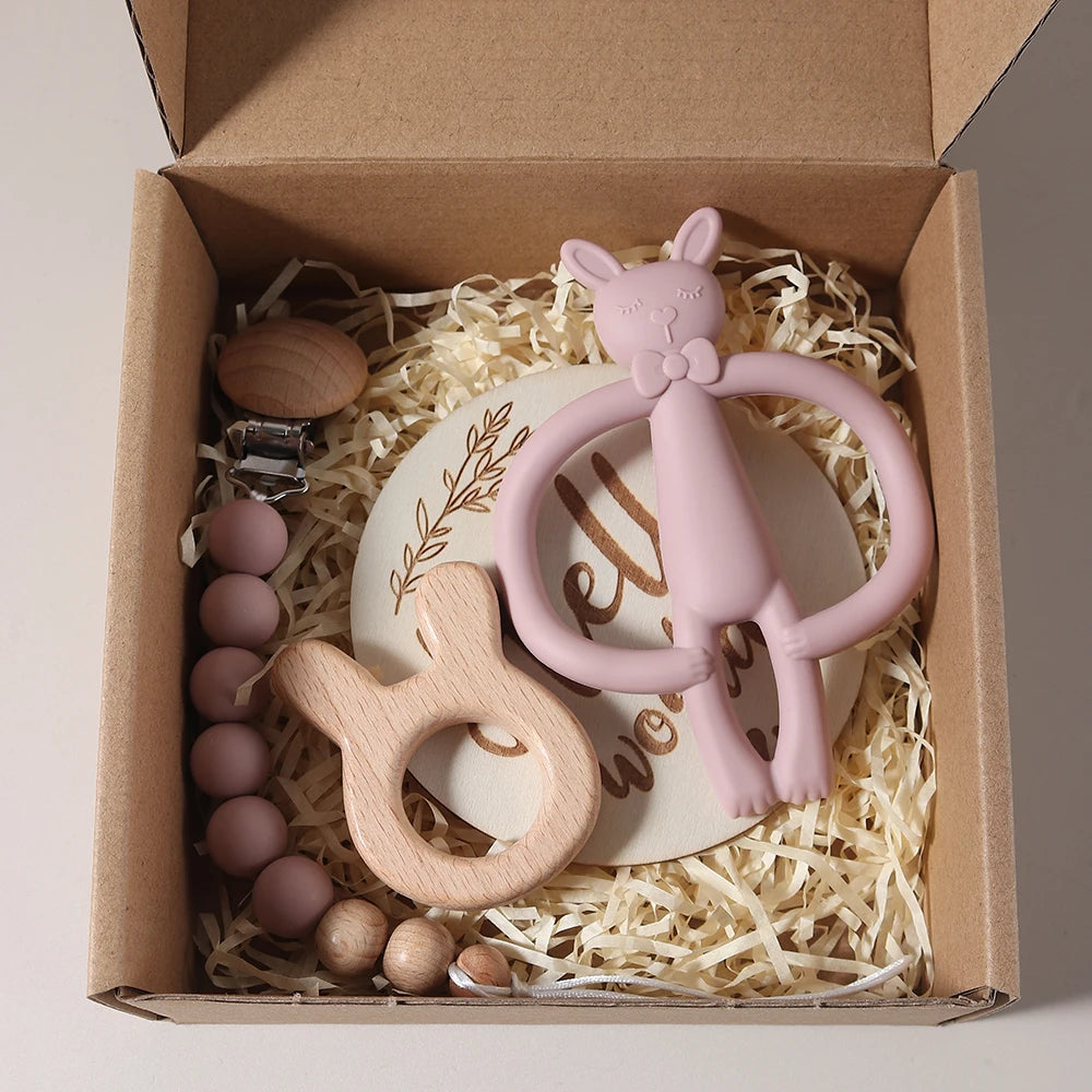 Silicone Bunny Teether & Dummy Clip Gift Set
